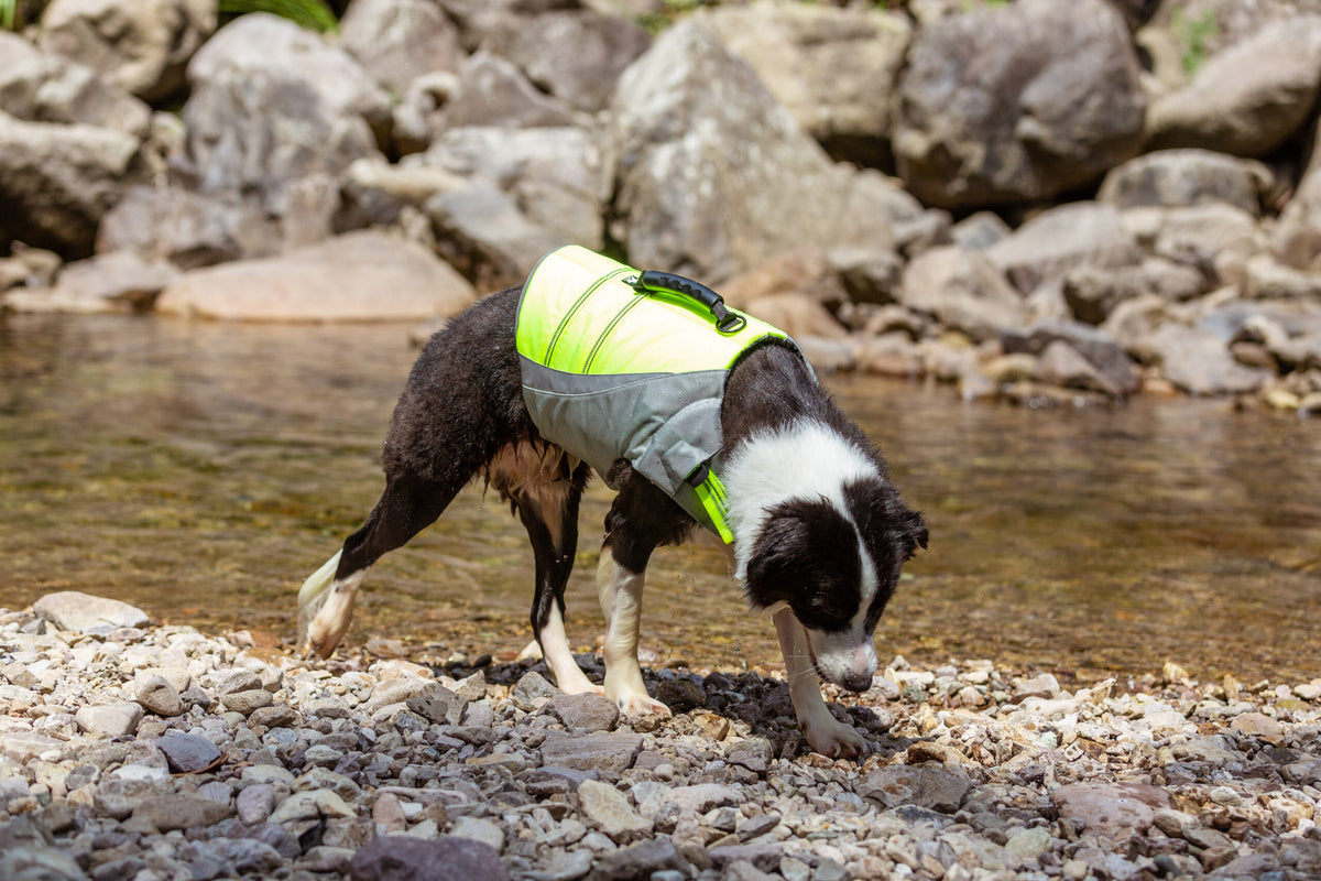 Truelove Life Vest